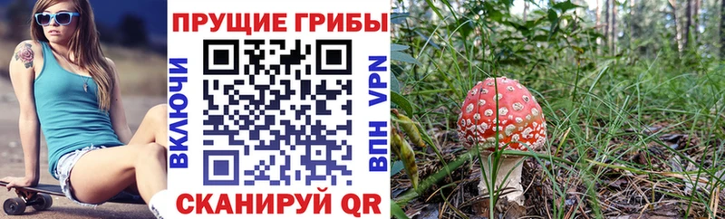 площадка клад  hydra ССЫЛКА  Малоярославец  Галлюциногенные грибы ЛСД 